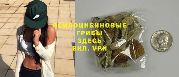 эйфоретик Алзамай