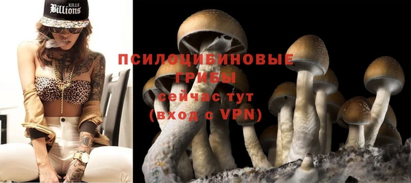стафф Аркадак