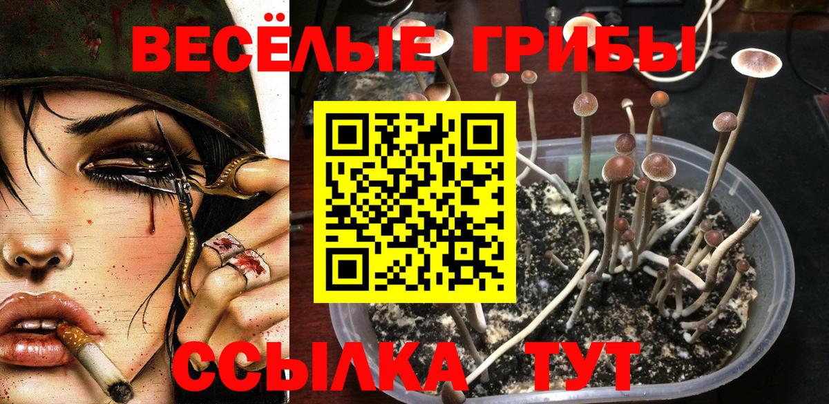 Галлюциногенные грибы прущие грибы Новошахтинск