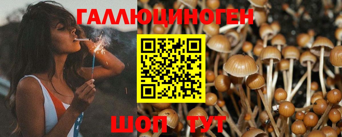 Галлюциногенные грибы мухоморы  Вход с VPN  как найти наркотики  Новошахтинск 