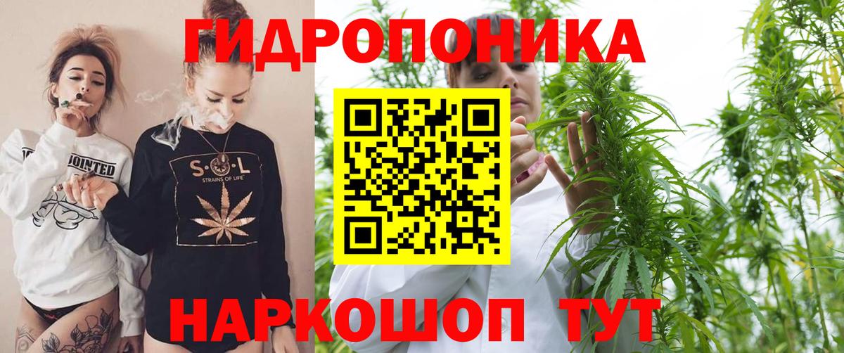 Канабис гибрид Новошахтинск